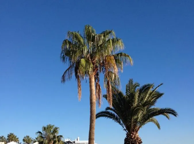 Apartamento Miramar *