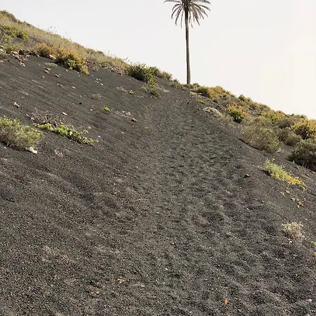 Apartament Miramar *